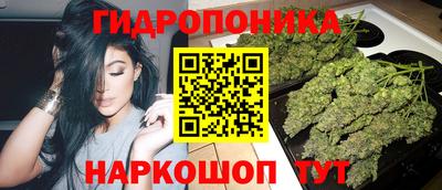 прущие крисы Гусев