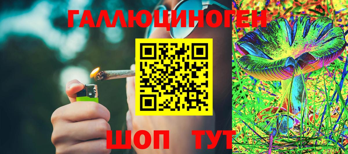 купить наркотик  Вход с VPN  Новоалександровск  Псилоцибиновые грибы прущие грибы 